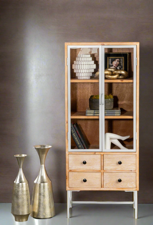 Alina 2 Doors Glass Tall Accent Cabinet