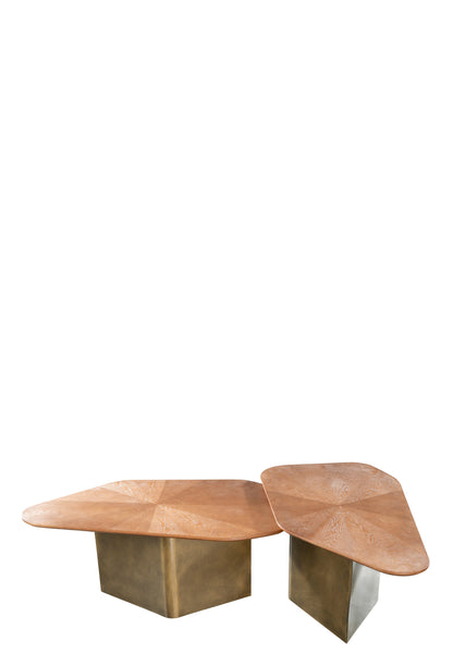 organic shape coffee table